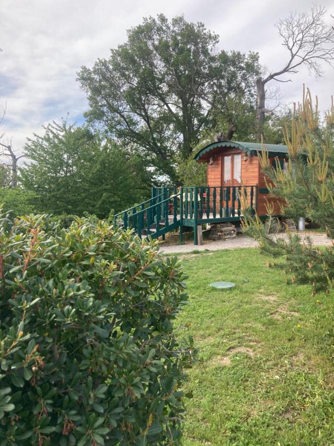 Villa Domaine La Carrière à Toulon-sur-Allier Extérieur photo