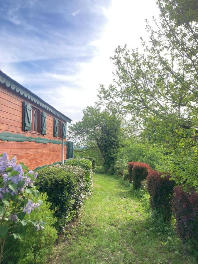 Villa Domaine La Carrière à Toulon-sur-Allier Extérieur photo